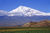 Ararat.jpg